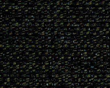 dingo-01.jpg